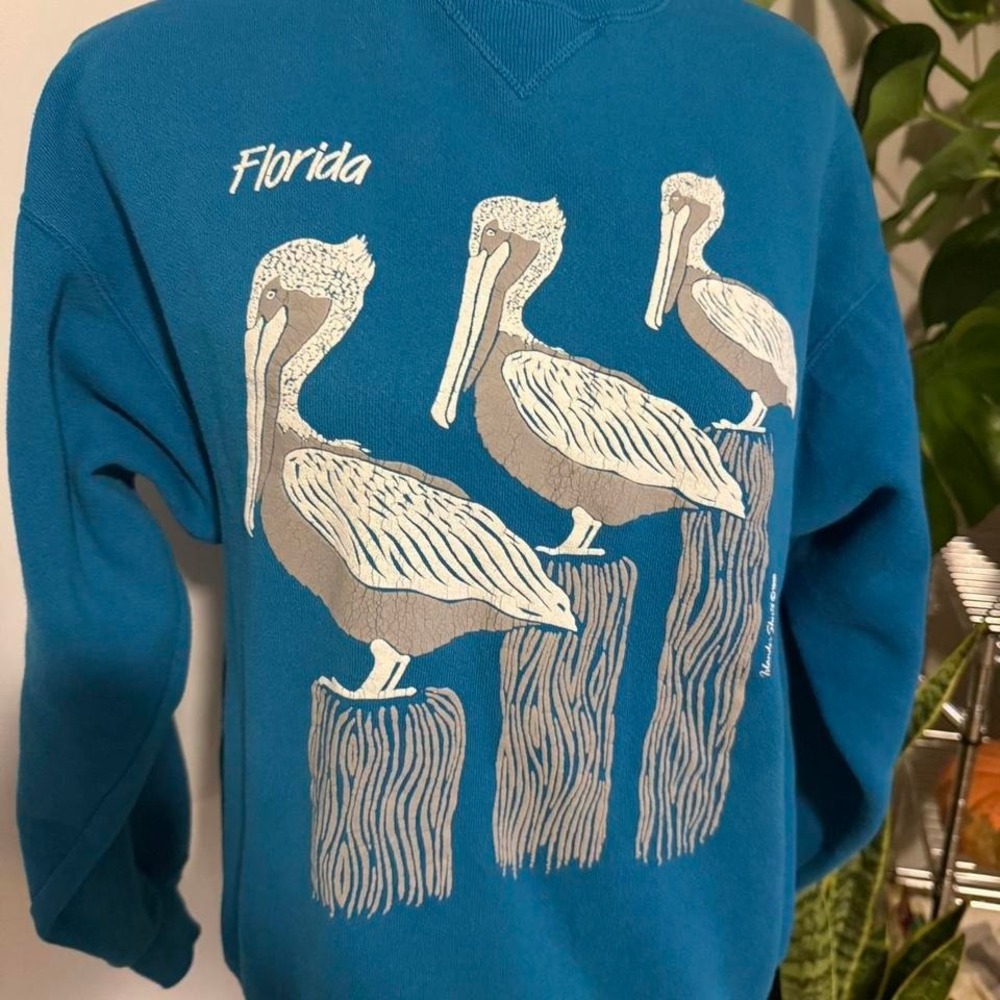Vintage Florida Pelican Sweatshirt Hanes Classics Teal Graphic Crewneck - Size M - Picture 2 of 5
